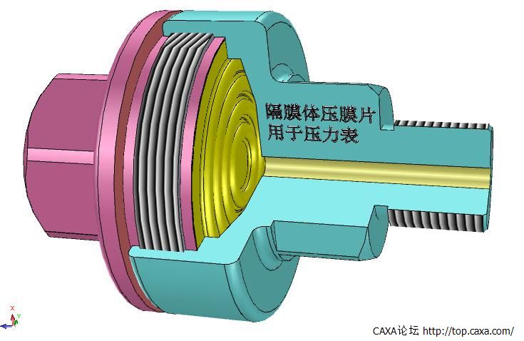 隔膜体压膜片.jpg